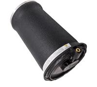 Sospensione Ad Aria Compatibile Con Range Per Rover V8 4.0L 4.6L 1995 1996 1997 1998 1999 2000 2001 2002 Sospensioni Pneumatiche Posteriori Sinistre E Destre RKB101460E