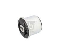 Sospensione Assale Posteriore per Renault Megane IV 550441331R 550456492R