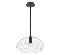 Sospensione Contemporanea Lotus Acciaio Nero Vetro 1 Luce E27