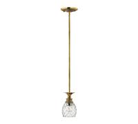 Sospensione Contemporanea Plantation Ottone Bronzo Brunito Vetro 1 Luce E27
