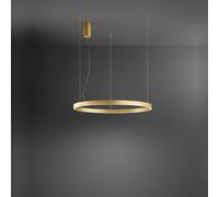 Sospensione Moderna Etere Metallo Oro Spazzolato Silicone Led 72W 3000K