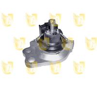 Sospensione, Motore anteriore Dx per RENAULT CLIO KANGOO THALIA