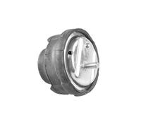 Sospensione, Motore anteriore Sx per BMW 3 Z4