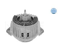 Sospensione, Motore Dx per MERCEDES-BENZ CLASSE C CLASSE E CLS