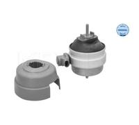 MEYLE Supporto Motore SX Adatto A per Audi A4 Avant 8ED B7 8H7 B6 8HE 8EC