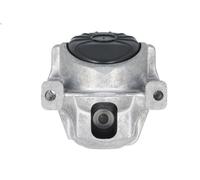 Sospensione, Motore OE GERMANY 800553 per AUDI Q5 (FYB, FYG) 3 2017-202