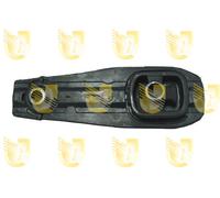 Sospensione, Motore posteriore per CITROËN PEUGEOT 1007 C2 C3 C3 PICASSO DS3