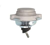 Sospensione, Motore REINHOCH RH11-3069 per BMW X3 (E83) 2 2007-2008