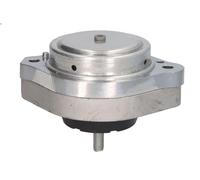 Sospensione, Motore REINHOCH RH11-3077 per BMW X3 (E83) 3 2005-2008