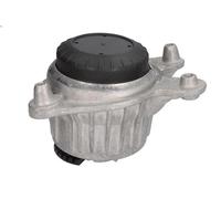 Sospensione, Motore REINHOCH RH11-3125 per CLASSE E (W213) 2 2016-2019