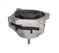 Sospensione, Motore REINHOCH RH11-3135 per BMW 1 (F20) 2 2016-2019