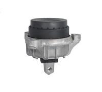 Sospensione, Motore TEDGUM TED97460 per BMW 5 (F10) 3 2011-2016