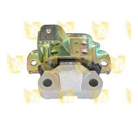 Sospensione Motore Unigom 395551 per Citroën Fiat Peugeot