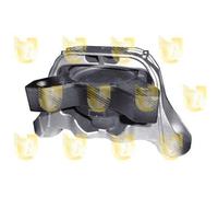 Sospensione Motore Unigom 396427 per Ford