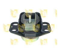 Sospensione Motore Unigom 396741 per Renault