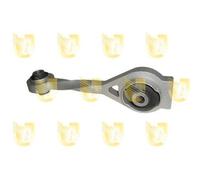 Sospensione Motore Unigom 396764 per Renault