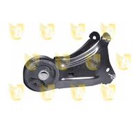 Sospensione Motore Unigom 396766 per Renault