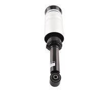 Sospensione Pneumatica Anteriore RNB501250 for Land Rover Discovery LR3 / LR4