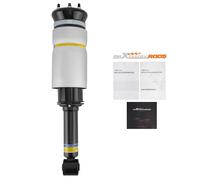 Sospensione Pneumatica Anteriore RNB501580 SX + DX for Range Rover Sport LS