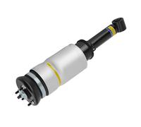 Sospensione Pneumatica Anteriore RNB501580 SX DX for Range Rover Sport LS NC5G