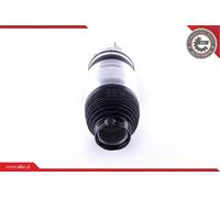 Sospensione Pneumatica Molla ad Aria Anteriore SX Skv per Porsche Cayenne (92A)