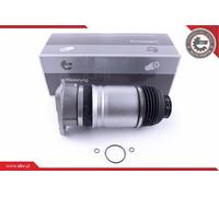 Sospensione Pneumatica Molla ad Aria Posteriore Sinistra Skv per Audi A8 D3 (4E2