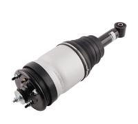 Sospensione pneumatica molla Posteriore for Range Rover Sport L320 LR016411