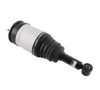 SOSPENSIONE PNEUMATICA POSTERIORE RPD501090 for RANGE ROVER SPORT/ (L320) 10-