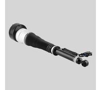 Sospensione Pneumatica Posteriore Sinistra For Mercedes S W221 C216 2213205713