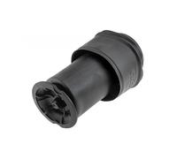 Sospensione Pneumatico Posteriore per Citroën C4 5102GN 5102R8