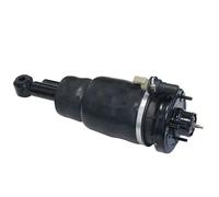 Sospensioni pneumatiche auto 1PC Posteriore Sospensioni Pneumatiche Ammortizzatore Tipo Mcpherson Per Ford Per Expedition 2003-2006 6L1Z18A099DA 3L1Z18125AB 3L1Z18124CA Sospensione pneumatica