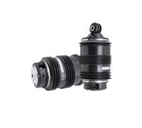 Sospensioni pneumatiche Borsa Sospensioni Pneumatiche Posteriori A2113200925 Per Benz Per Classe E S211 W211 02-09 Per Classe E240 E270 E280 Supporto