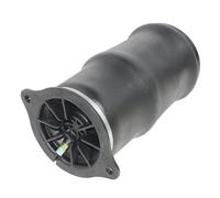 Sospensioni Pneumatiche Posteriore 6393280101 Per Benz Viano Vito Autobus W639