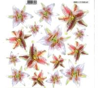 Sospeso Trasparente 3 Pezzi di Pellicola Standard Serie 1/19 Modello Tiger Lily. Atossica certificata. Modellabile a Basse Temperature. per Decorazioni 3D Effetto Vetro e Splendidi Accessori Moda