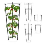 Sostegni per pomodori 45 cm Ferro Sostegni per piante rampicanti 3 anelli