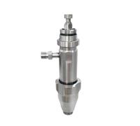 Sostituisci il gruppo pompa a spruzzo airless 1095 1595 5900 17H824 16Y706 287513(248205)