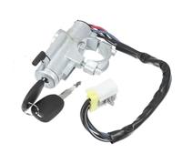 Sostituisci L'interruttore Accensione Con Cilindro Serratura Compatibile Con Nissan Per Pathfinder Per Pickup 1995-1996 Per D21 1986-1994 4870001G25 LHD Cilindro Blocchetto Accensione