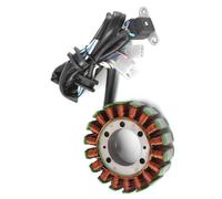 Sostituzione Bobina Statore Compatibile Con Yamaha Per SRV250 Renaissa 250 1996 1997 3TB-81410-00 Bobina Statore Moto Bobina Di Accensione Piastra Statore Magnete Moto