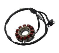 Sostituzione Bobina Statore Compatibile Con Yamaha Per YZ250 Per YZ250F Per YZ450 Per YZ450F 2014 2015 2016 2017 2018 1SL-81410-00 Bobina Statore Generatore Moto Accessori