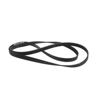 Sostituzione cinghia Poly-V for lavatrice. Compatibile con cinghia di trasmissione Bosch Siemens - 00745310 1163PJ4E