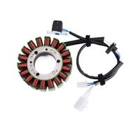Sostituzione degli accessori Bobina dello statore del generatore for il generatore del motore YZF600R 1995-2007 4JH-81410-00 4TV-81410-00 4TV-81410-01 YZF 600R