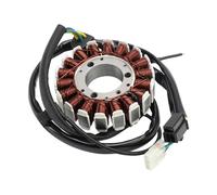 Sostituzione degli accessori Regolatore dello statore del generatore (con spessori) for 125 CLR - City Fly 125 1998 31120-KCN-004 31600-KFT-620