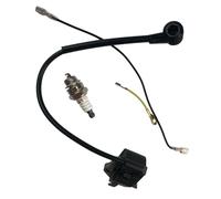 Sostituzione Del Modulo Bobina Di Accensione Per 01101200901000020021023