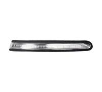 Sostituzione Della Luce Ambrata Per Specchietto Laterale A Per Auto | Compatibile Con Hyundai I20 2014-2020 Indicatore Di Direzione Retrovisore 12V 87624-C8000(RIGHT)