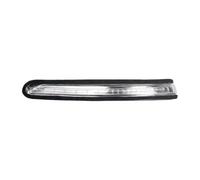 Sostituzione Della Luce Ambrata Per Specchietto Laterale A Per Auto | Compatibile Con Hyundai I20 2014-2020 Indicatore Di Direzione Retrovisore 12V 87624-C8000(LEFT)