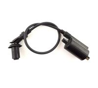 Sostituzione Spark Coil Bobina Di Accensione Per GY6 XV250, Ciclomotore, Scooter, Per Baja Linhai 260cc, 300cc, ATV, Quad, Moto Statore Accensione Magneto
