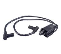 Sostituzione Spark Coil Per Sea-Doo JETSKI JETBOAT GSX GTX SPX XP Bobina Di Accensione Per Pacchetto Ad Alta Tensione Moto 278000383 Statore Accensione Magneto