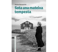Sota una mateixa tempesta: 19