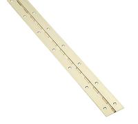 SOTECH Cerniera a barra 1000 x 40 x 1,0 mm ottone look pianoforte porta