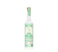 Sotol Padre de Las Serpientes